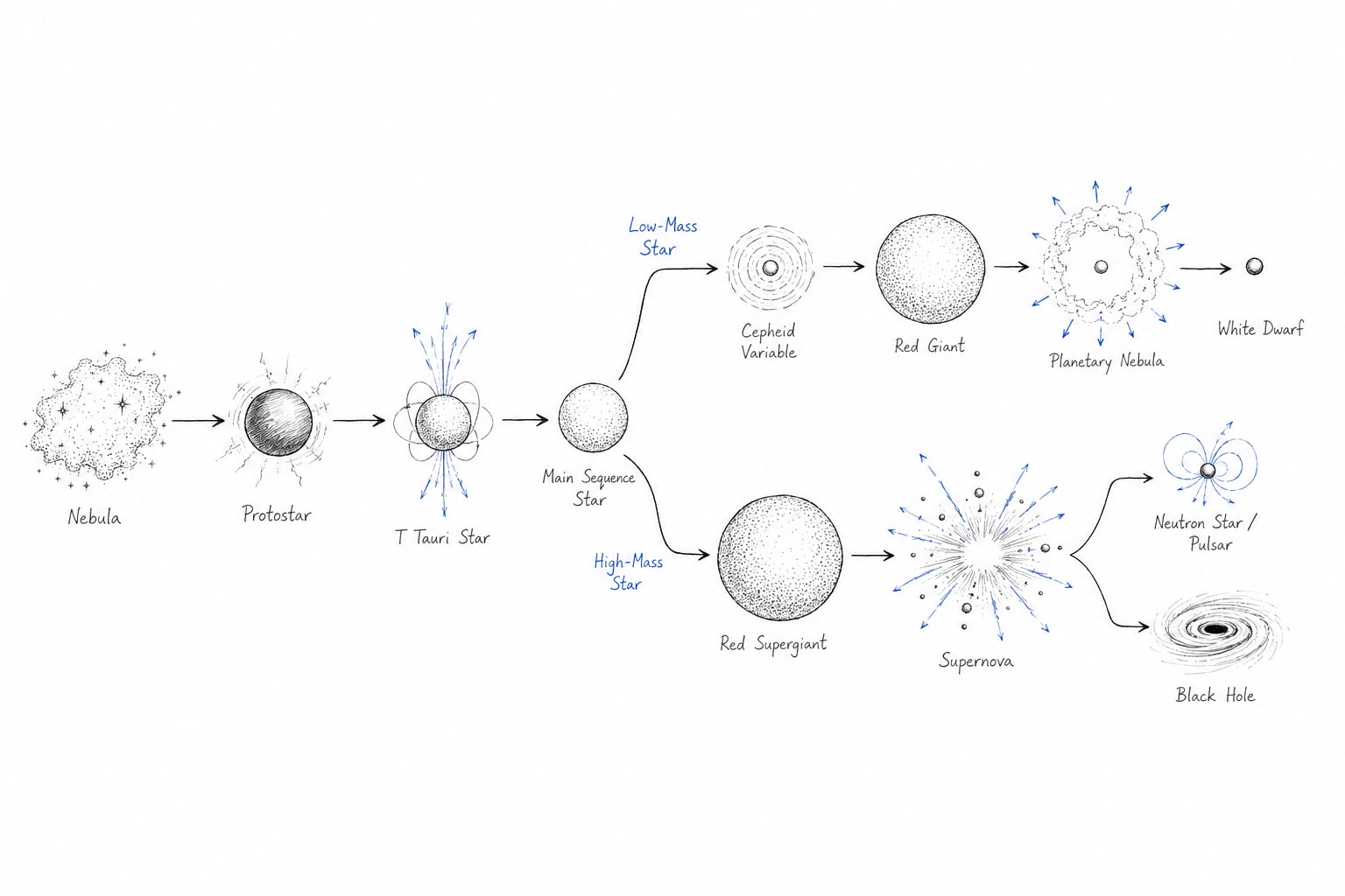 Life Cycle of Star
