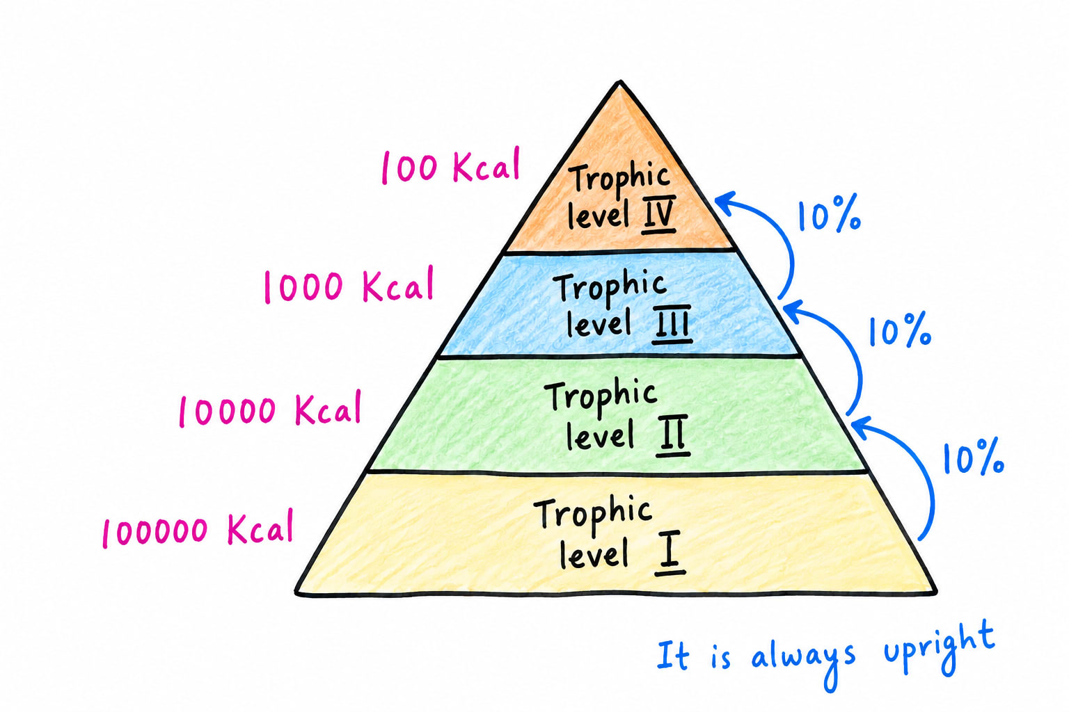 energy_pyramid.png